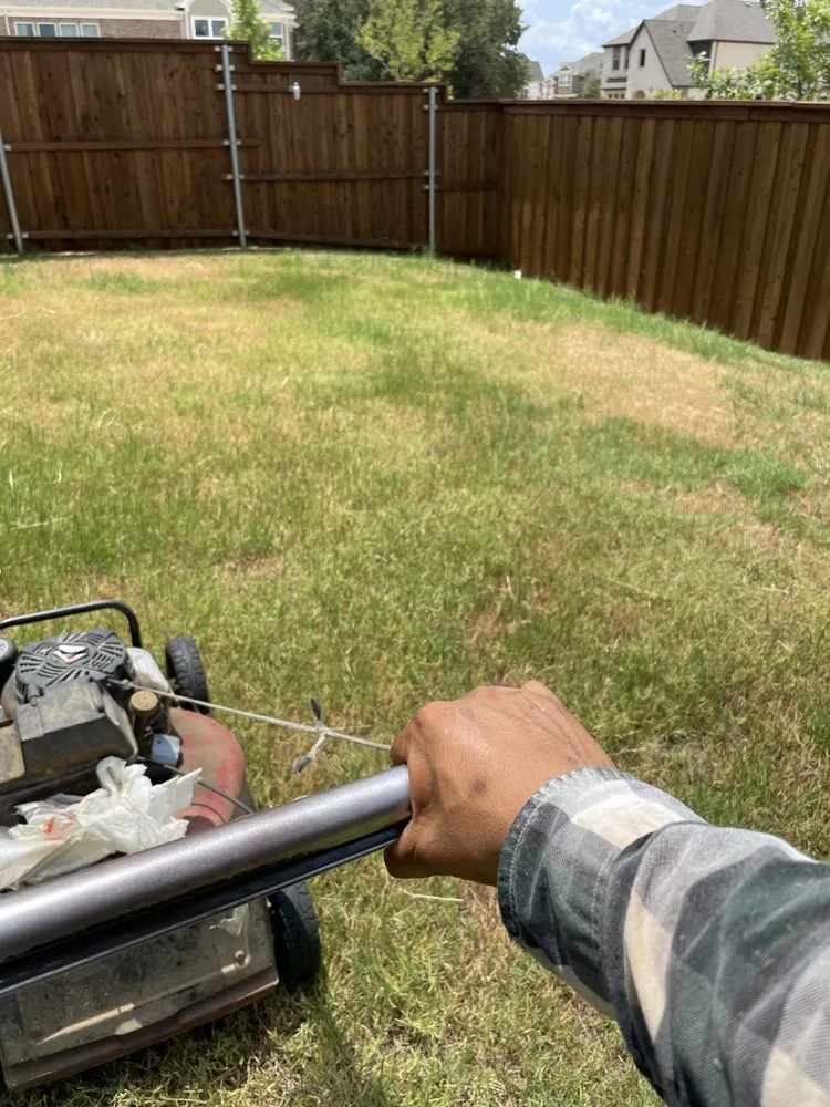 Reliable lawn care service experts serving Lewisville, TX - Gus Lawn An Landscape Service