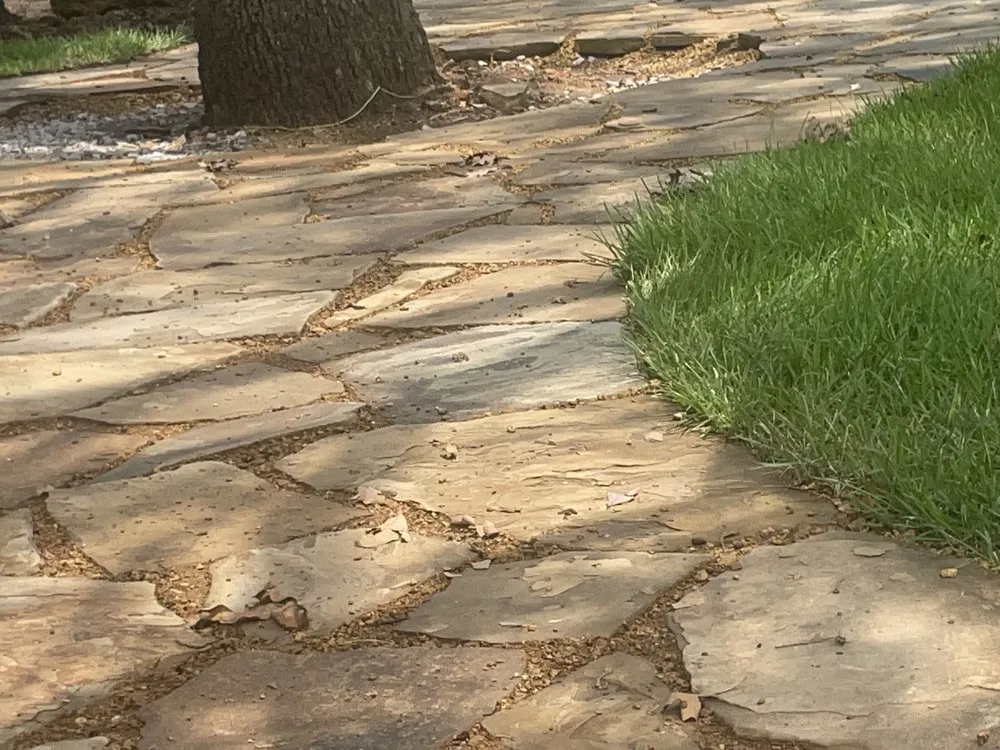 Professional outdoor landscaping for year-round maintenance in Lewisville, TX by Gus Lawn An Landscape Service