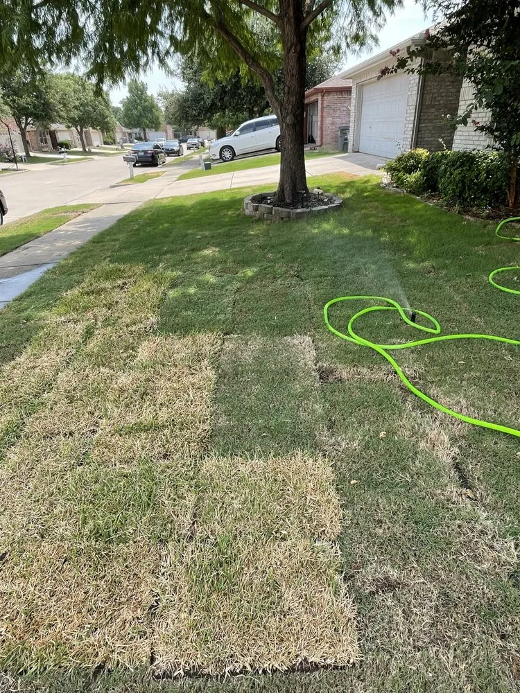 Professional lawn care service in Lewisville, TX by Gus Lawn An Landscape Service