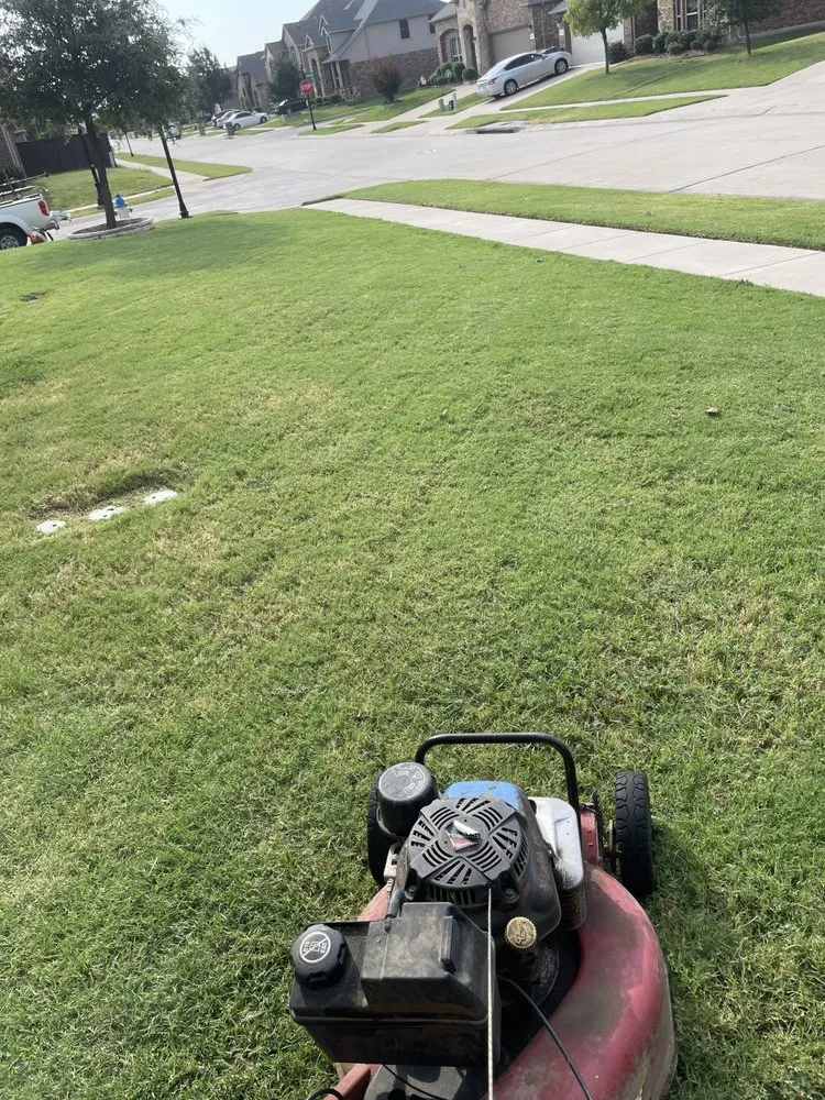Professional lawn mowing service in Lewisville, TX - Gus Lawn An Landscape Service