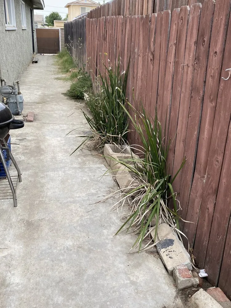 Local yard cleanup service experts serving Anaheim, CA - Gus Quihuis Lawn And Maintenance