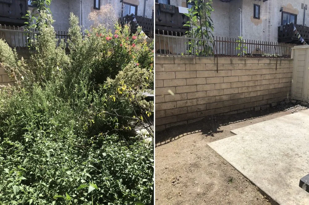 Top-rated landscaping services for beautiful yards in Anaheim, CA by Gus Quihuis Lawn And Maintenance