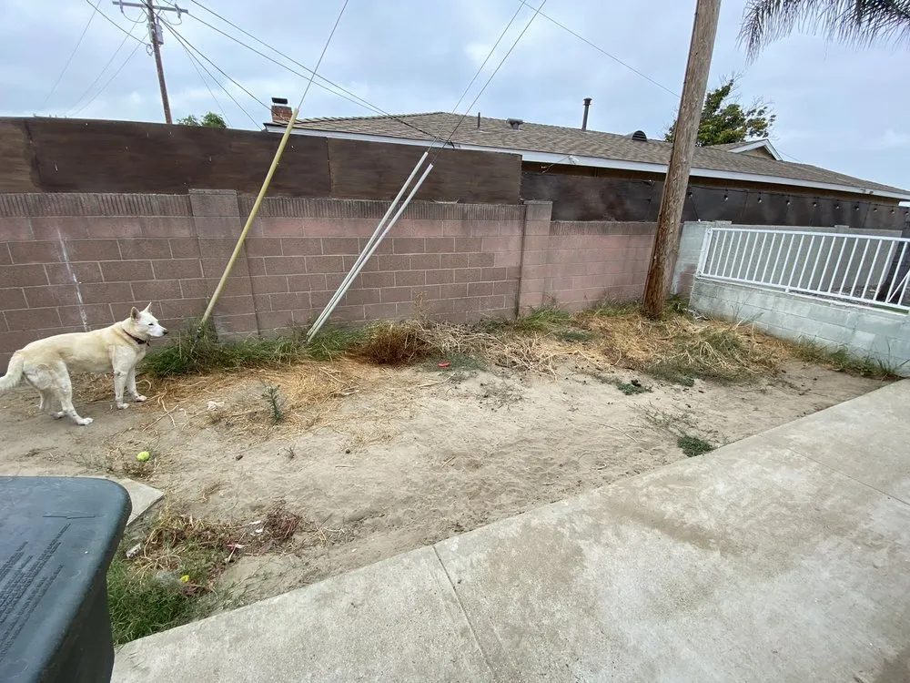 Professional residential landscaping for homes across Anaheim, CA - Gus Quihuis Lawn And Maintenance