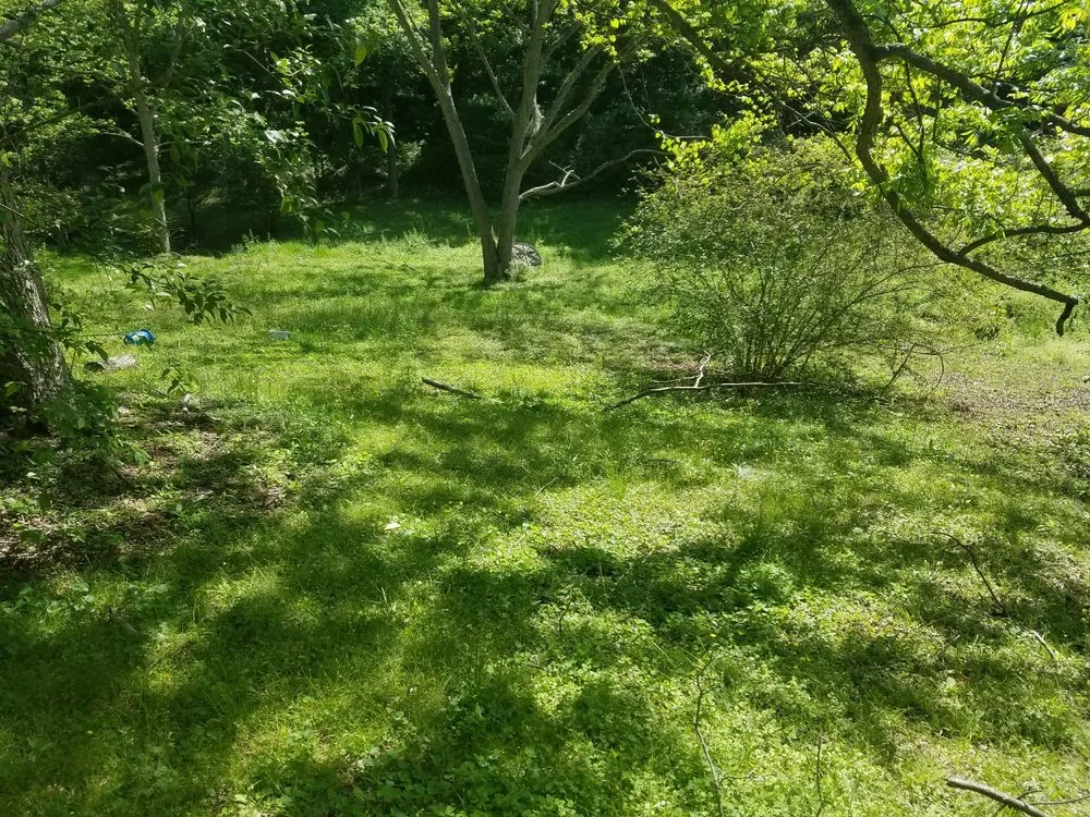 Affordable residential landscaping in Concord, NC by Gus's Landscaping