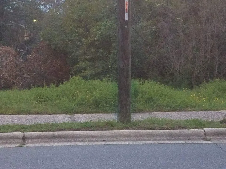 Professional lawn mowing service in Concord, NC by Gus's Landscaping