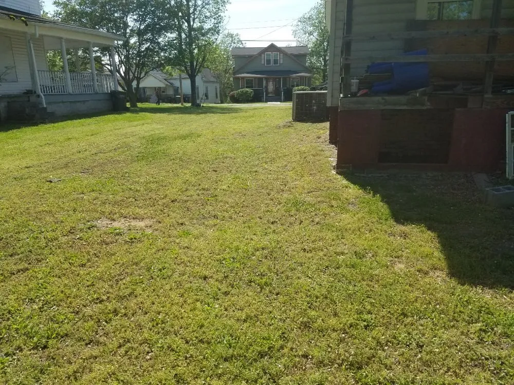 Reliable yard cleanup service experts serving Concord, NC - Gus's Landscaping
