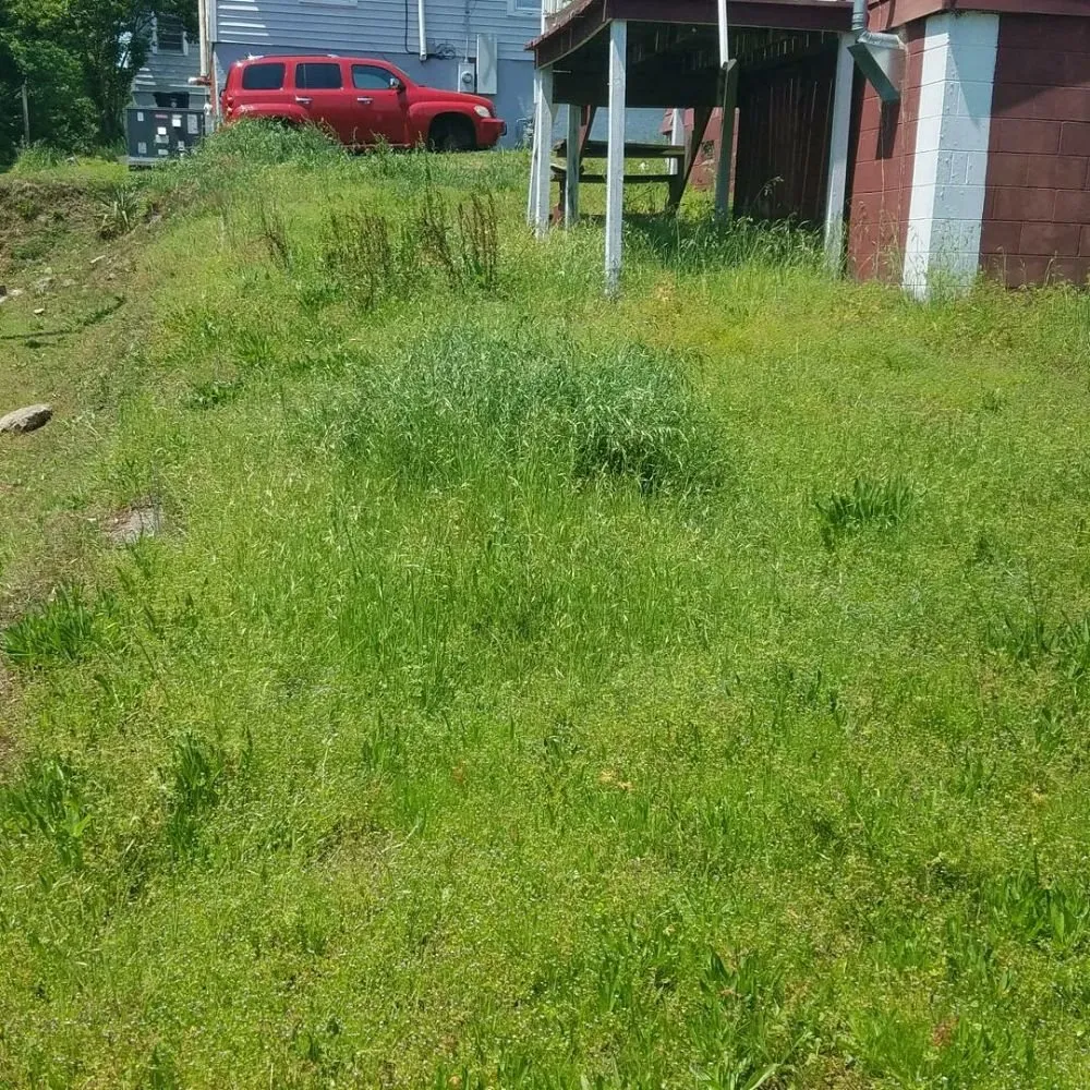 Trusted yard cleanup service in Concord, NC by Gus's Landscaping