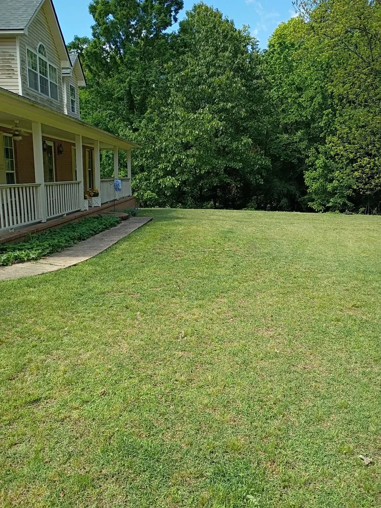 Expert landscaping services for year-round maintenance in Burlison, TN by Gus's Lawn Care & Maintenance