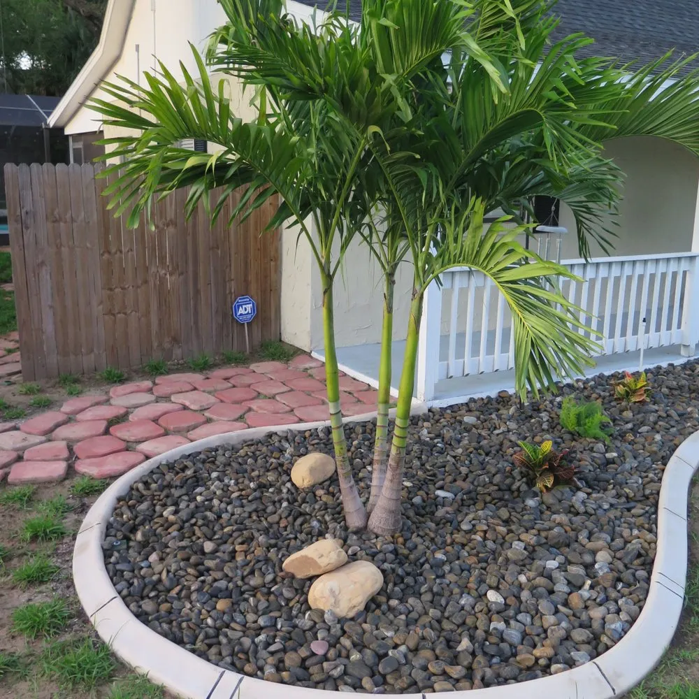 Trusted lawn mowing service in Seffner, FL by Gus's Lawn Care