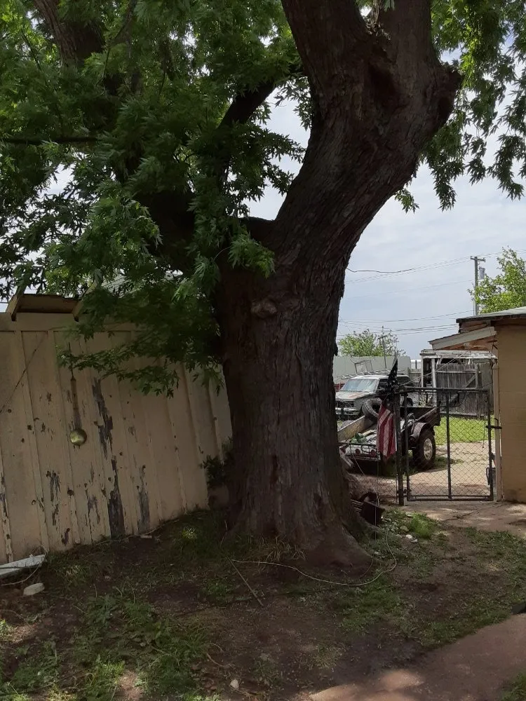 Local garden landscaping in Norman, OK - Gus'sTree Service and Landscape