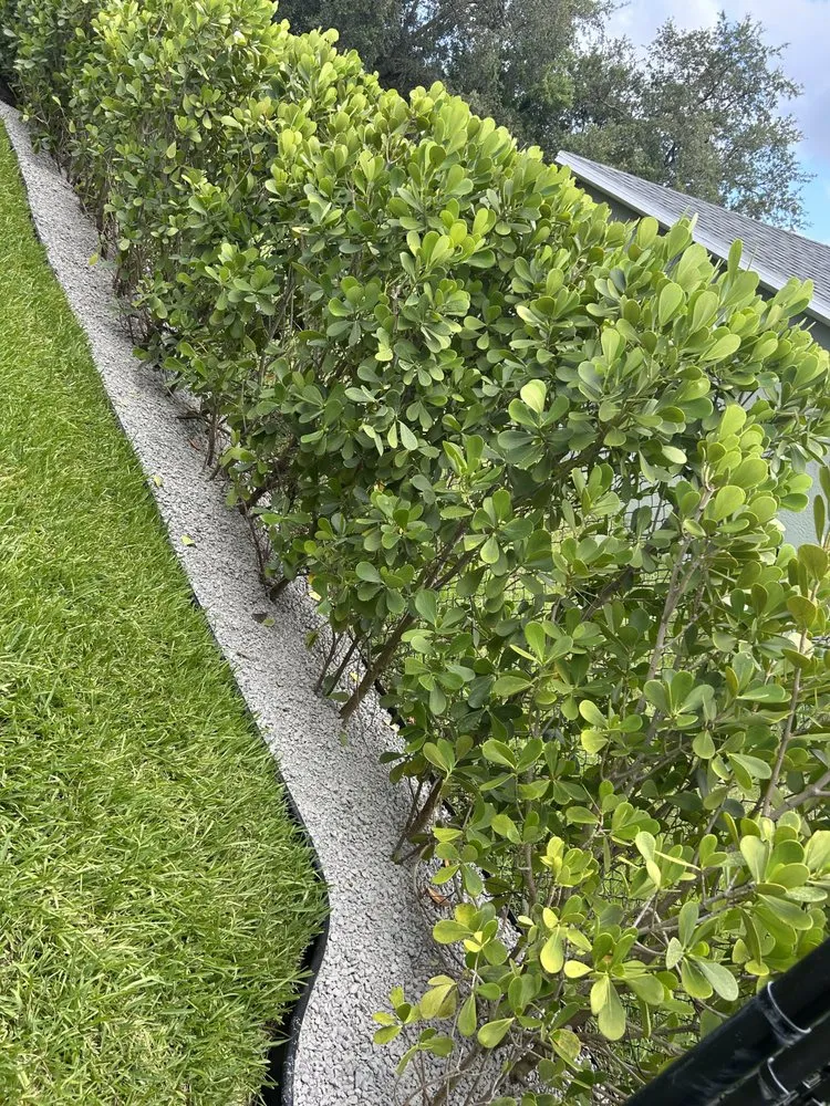 Local lawn care service in Fort Pierce, FL by Gustavo Pineda Lawn Care