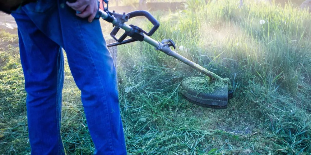 Affordable landscape installation experts serving Aynor, SC - Gustavo Yards