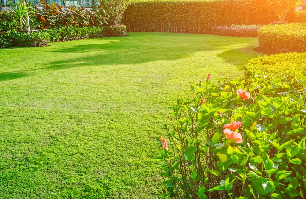 Reliable outdoor landscaping for beautiful yards in Aynor, SC by Gustavo Yards