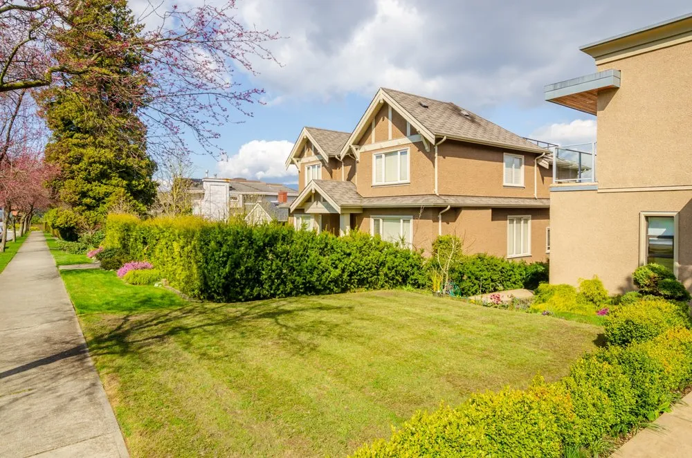 Professional yard maintenance in Aynor, SC - Gustavo Yards