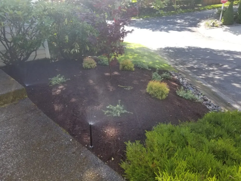 Trusted residential landscaping for beautiful yards across Federal Way, WA - Gustavo's Irrigation & Landscape Services