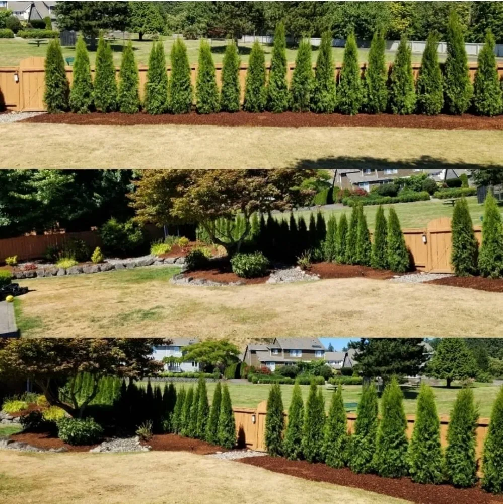 Affordable landscape installation with custom design in Federal Way, WA by Gustavo's Irrigation & Landscape Services