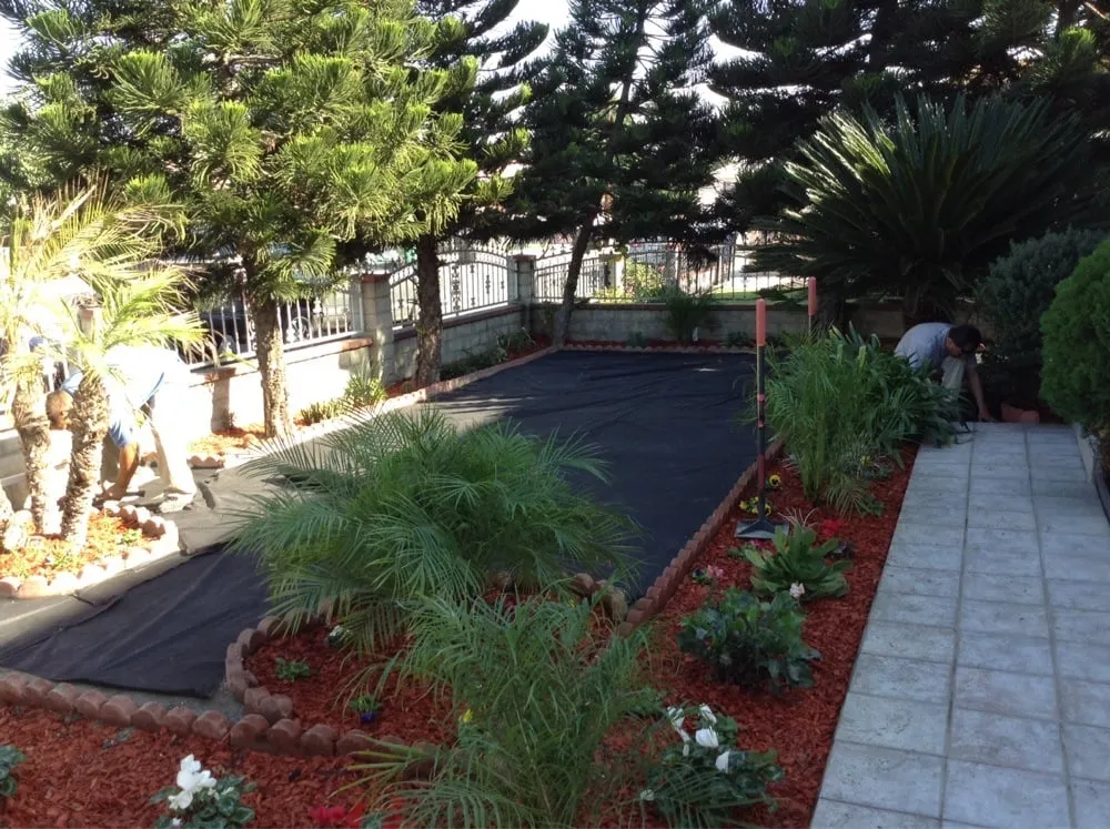 Affordable yard cleanup service experts serving Pico Rivera, CA - Gustavo's Landscape