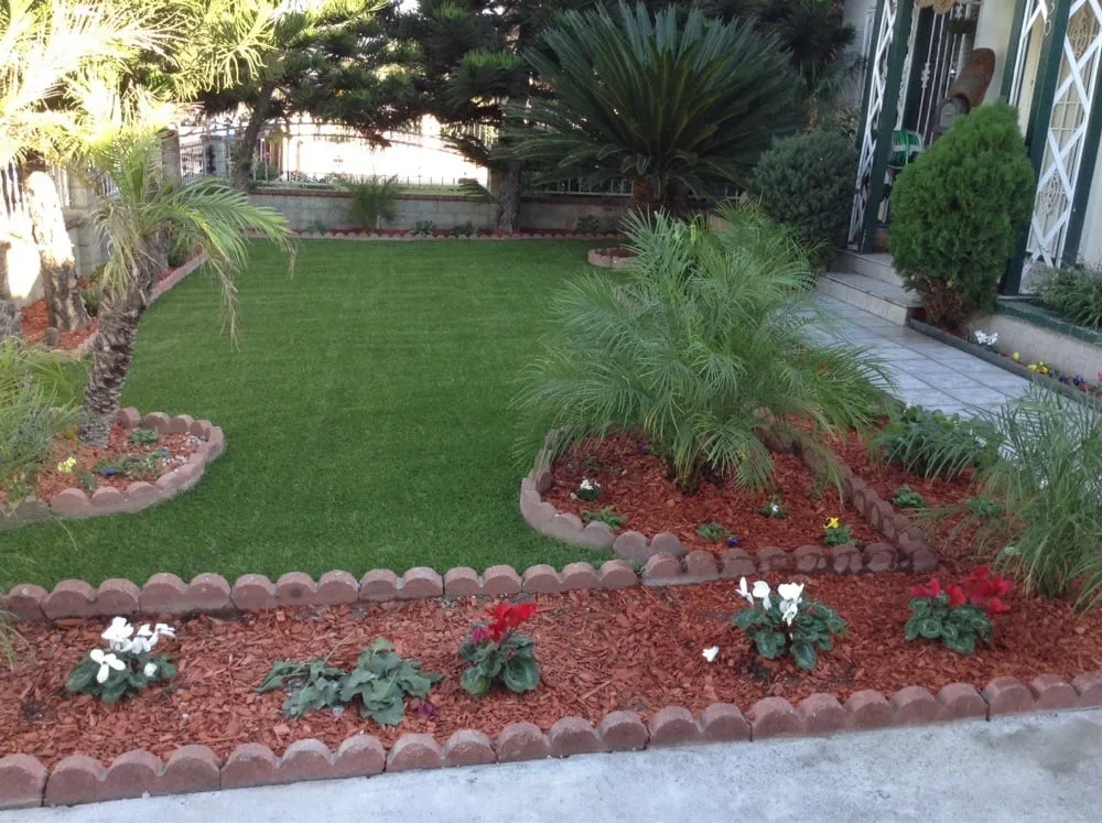 Affordable lawn care service in Pico Rivera, CA by Gustavo's Landscape