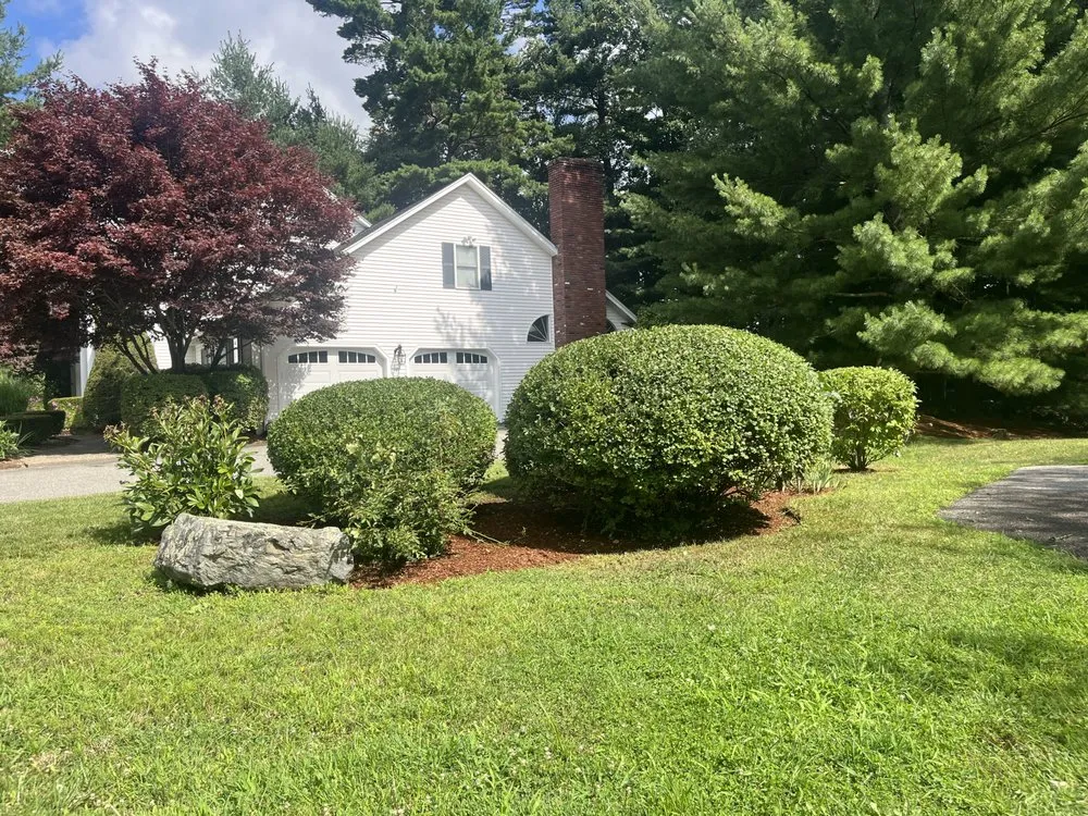 Professional lawn care service in Lynn, MA by Gustavo's Landscaping