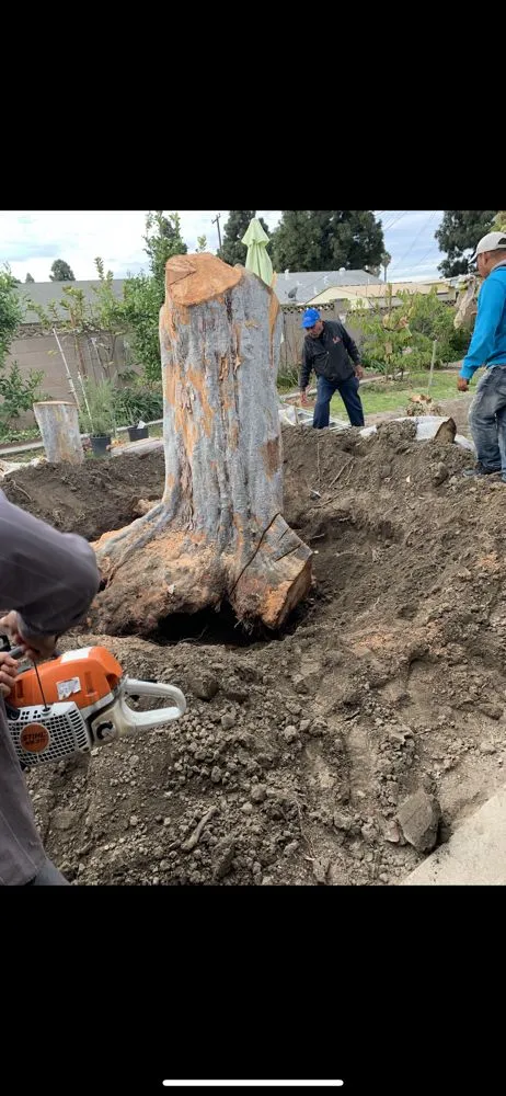 Custom yard cleanup service experts serving Santa Ana, CA - Gustavo’s Landscaping