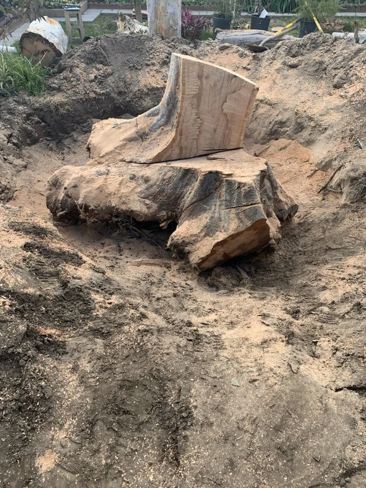 Reliable yard maintenance for year-round maintenance across Santa Ana, CA - Gustavo’s Landscaping