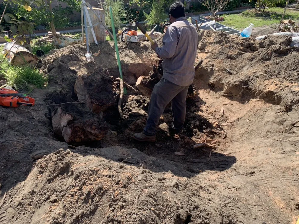 Top-rated yard maintenance in Santa Ana, CA - Gustavo’s Landscaping