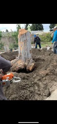 Gustavo’s Landscaping Logo