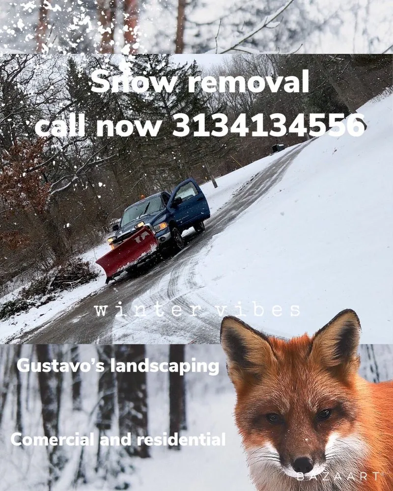 Professional outdoor landscaping experts serving Detroit, MI - Gustavo's Landscaping,Concrete and Patios