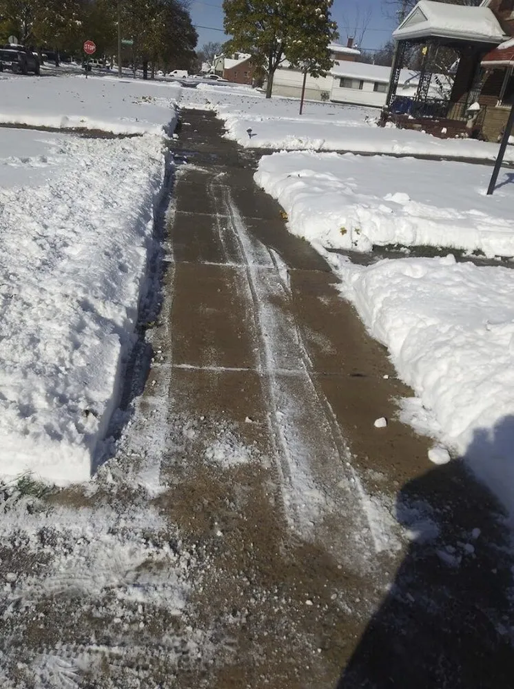 Top-rated landscaping services for residential properties across Detroit, MI - Gustavo's Landscaping,Concrete and Patios