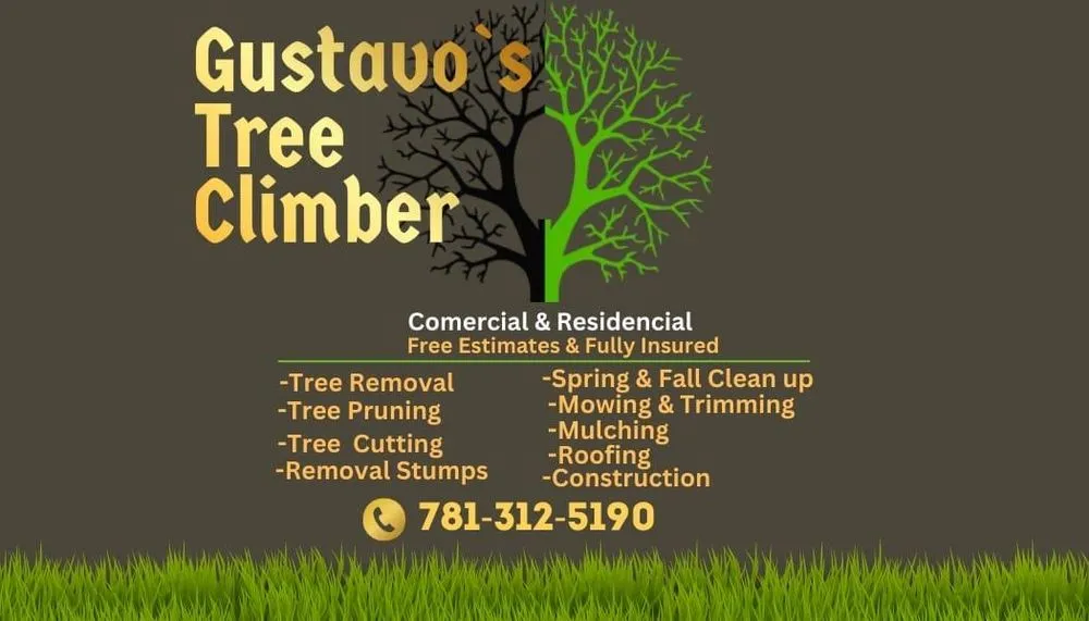 Trusted landscape installation for beautiful yards across Stoneham, MA - Gustavo’s Tree Climber