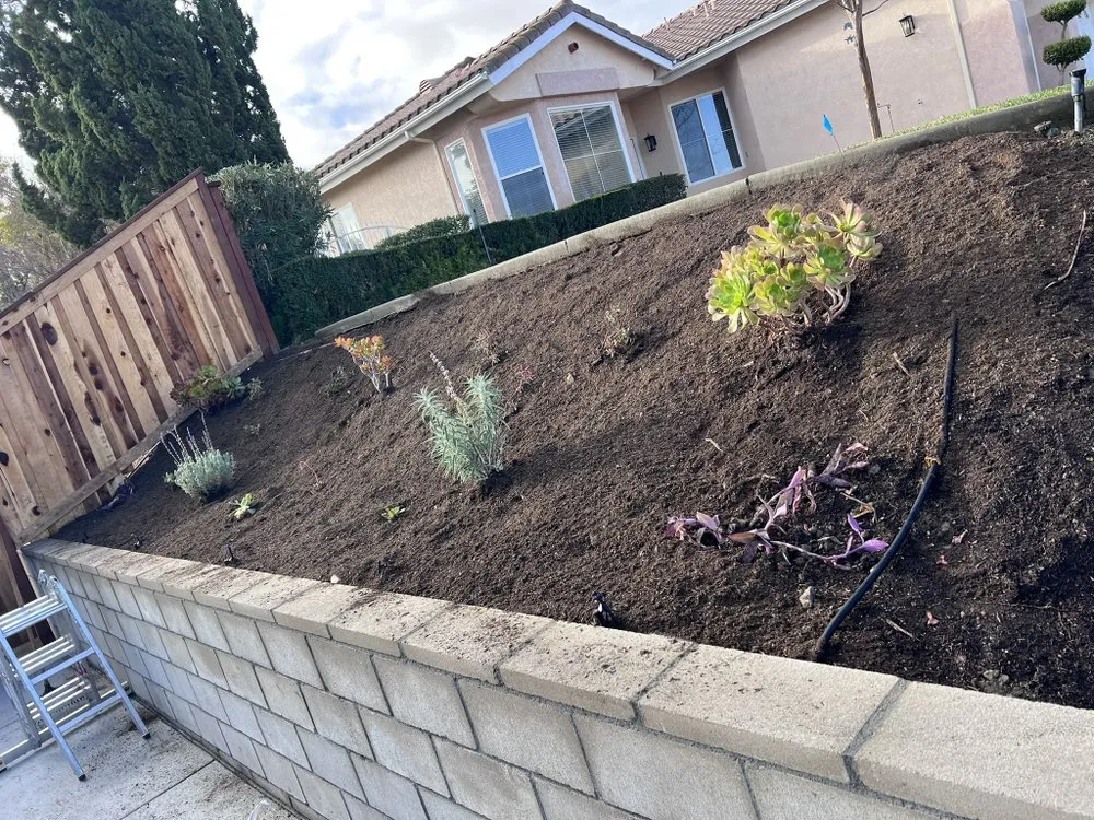 Custom landscape design for year-round maintenance across Lake Elsinore, CA - Gusto’s Lawn Garden Service