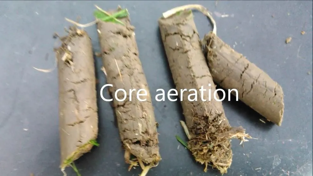 Professional yard cleanup service in Washington, IL - Guth Lawn Care