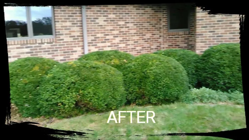 Top-rated yard maintenance in Washington, IL by Guth Lawn Care