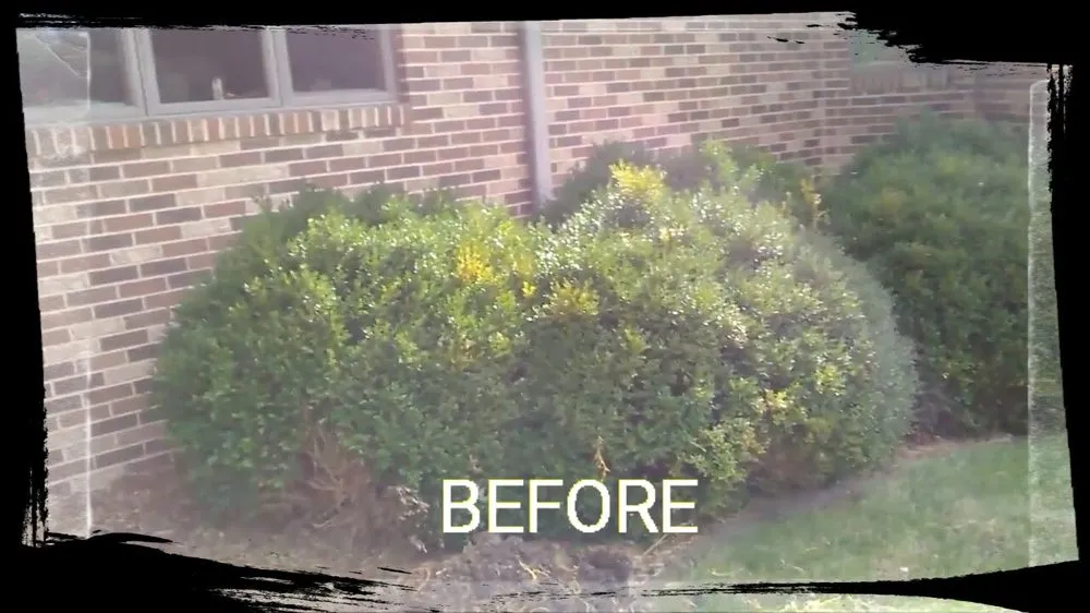 Professional landscaping services for year-round maintenance in Washington, IL by Guth Lawn Care