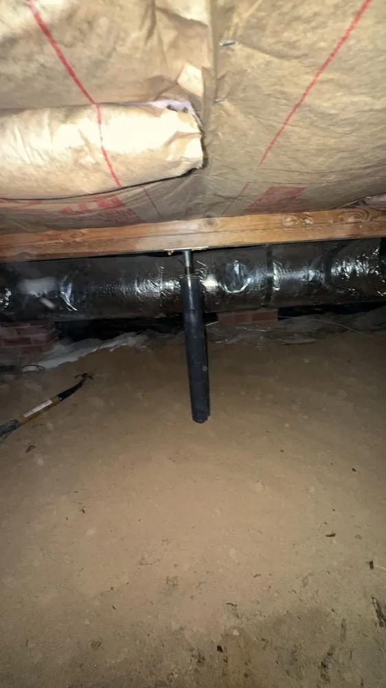 Affordable residential landscaping experts serving Elon, NC - Guthrie Home Repair