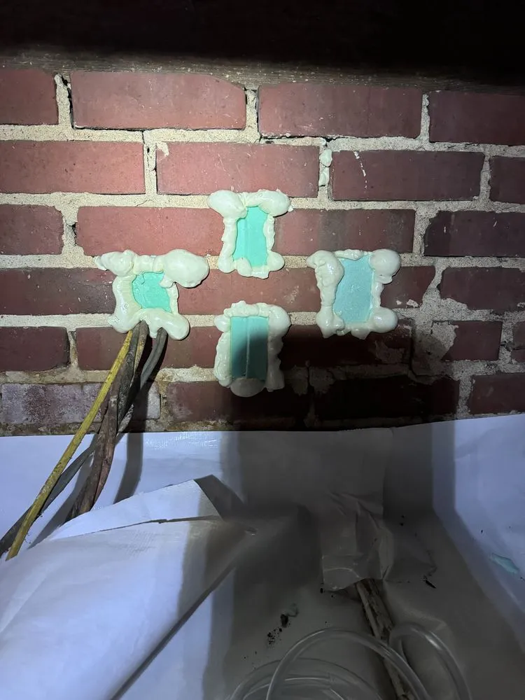 Trusted landscape design for year-round maintenance across Elon, NC - Guthrie Home Repair