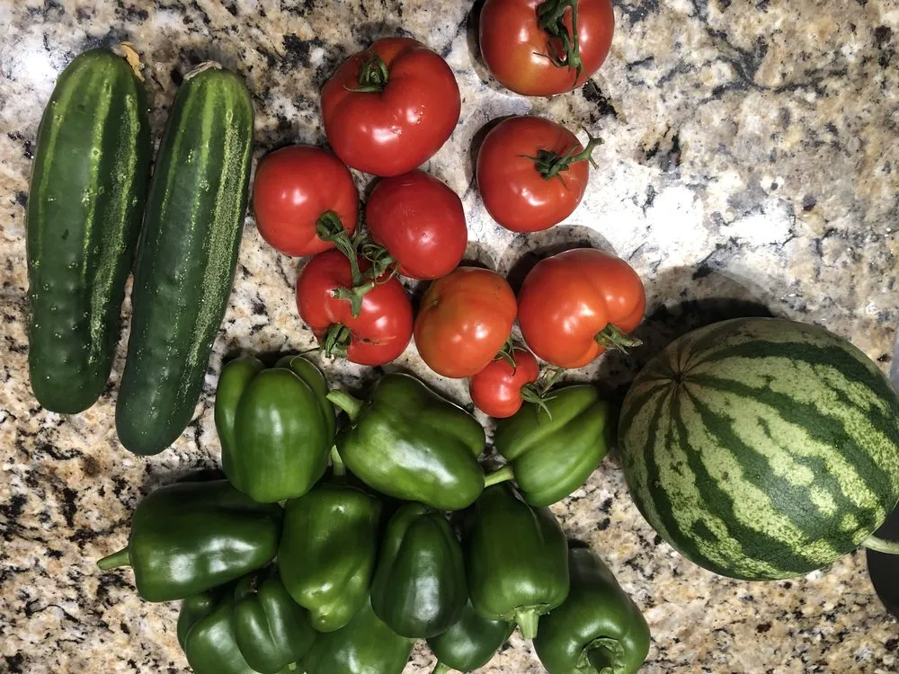 Expert outdoor landscaping in East Orange, NJ by Guthrie’s Garden