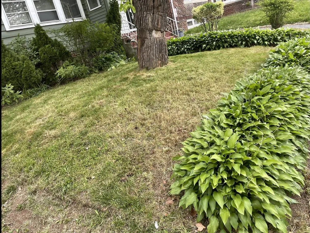 Top-rated outdoor landscaping in East Orange, NJ - Guthrie’s Garden