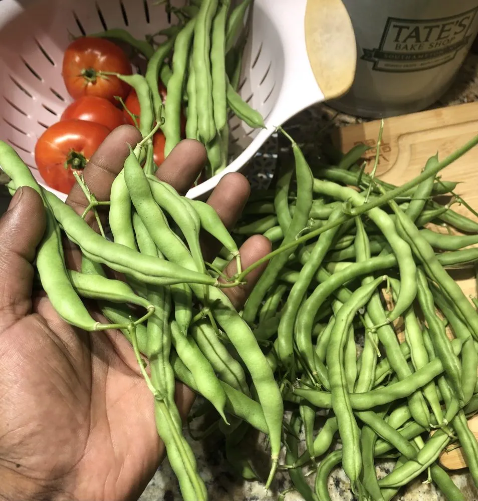 Top-rated residential landscaping experts serving East Orange, NJ - Guthrie’s Garden