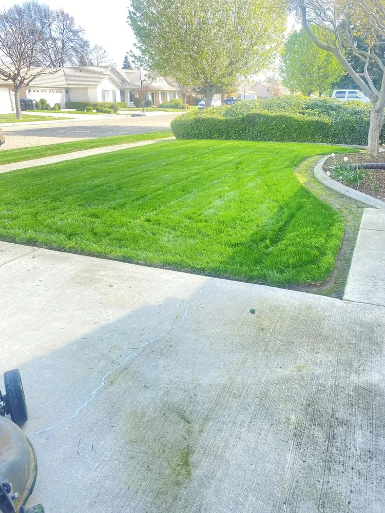 Professional yard cleanup service in Visalia, CA by Gutierrez & Son Lawn Maintenance
