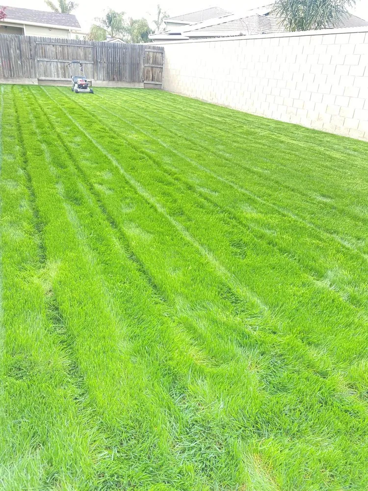 Expert landscape installation in Visalia, CA - Gutierrez & Son Lawn Maintenance