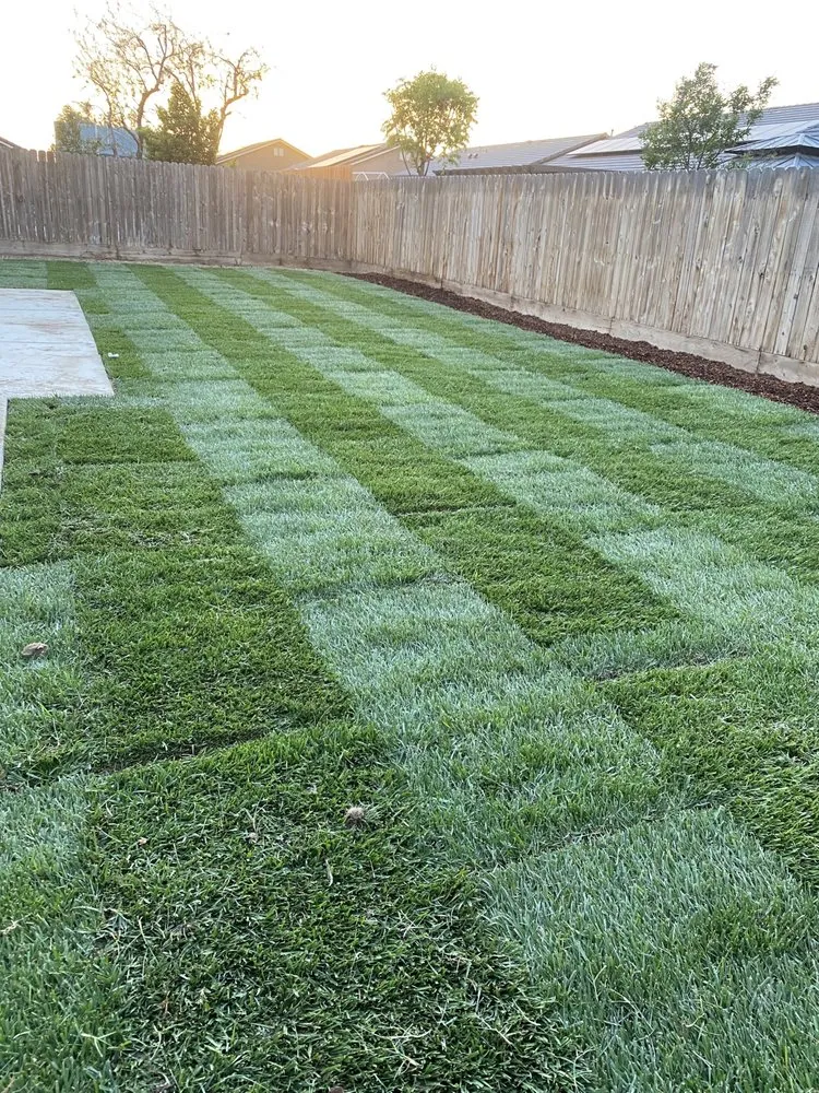 Expert landscape installation for year-round maintenance in Visalia, CA by Gutierrez & Son Lawn Maintenance
