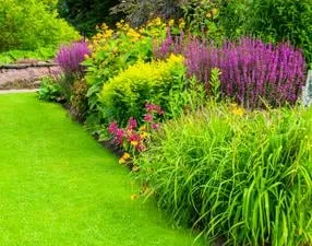 Professional residential landscaping in Gardena, CA by Gutierrez & Son's Tree Service & Landscaping