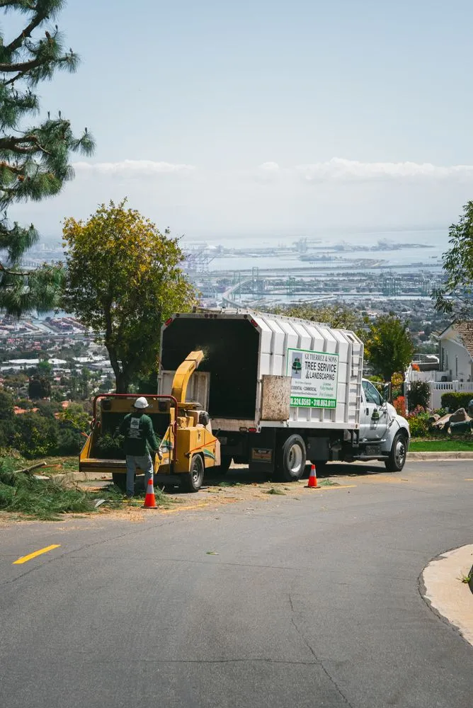 Trusted landscape installation in Gardena, CA - Gutierrez & Son's Tree Service & Landscaping