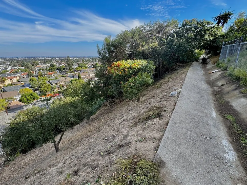 Custom residential landscaping experts serving Gardena, CA - Gutierrez & Son's Tree Service & Landscaping