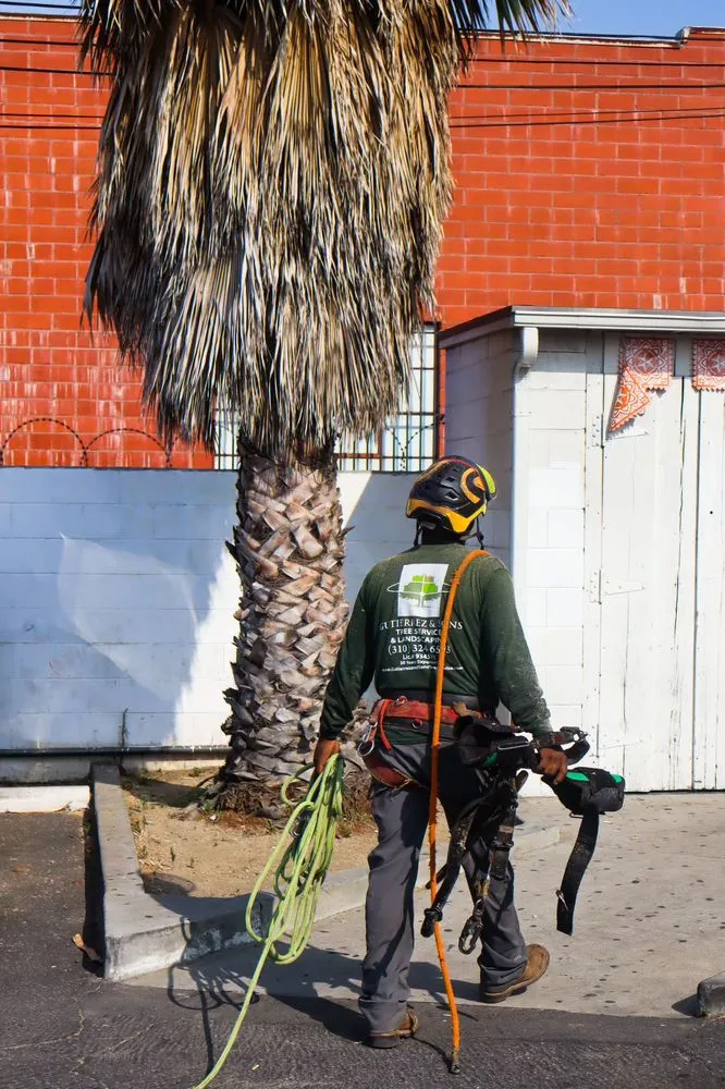 Professional lawn mowing service in Gardena, CA - Gutierrez & Son's Tree Service & Landscaping