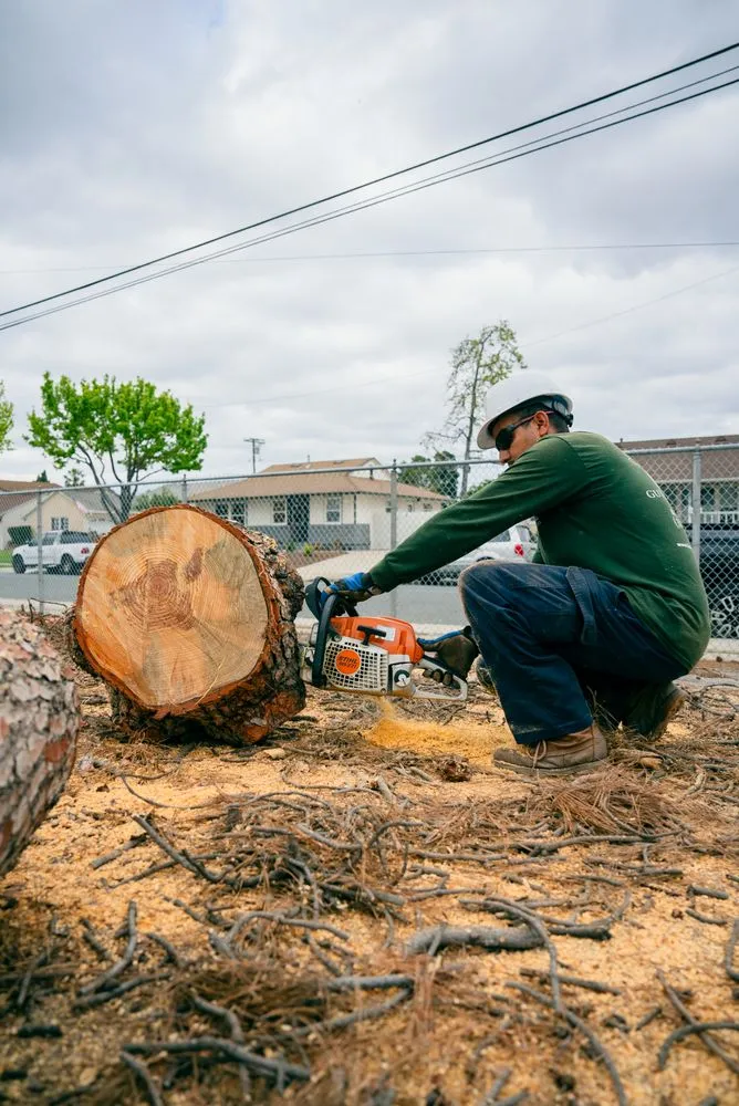 Trusted outdoor landscaping in Gardena, CA by Gutierrez & Son's Tree Service & Landscaping