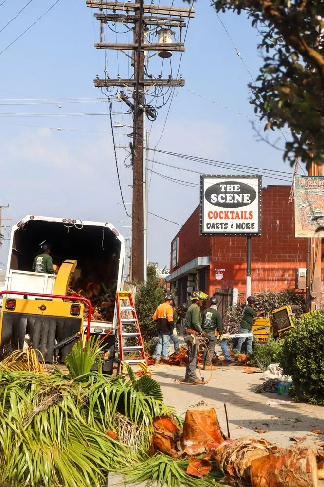 Local landscaping services near you in Gardena, CA by Gutierrez & Son's Tree Service & Landscaping