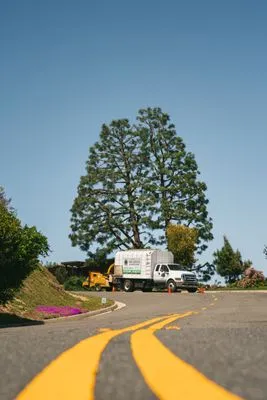 Gutierrez & Son's Tree Service & Landscaping