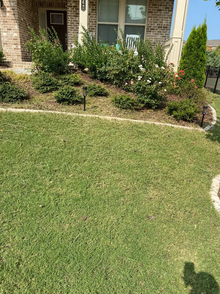 Professional landscape installation for outdoor upgrades across Alpharetta, GA - Gutierrez